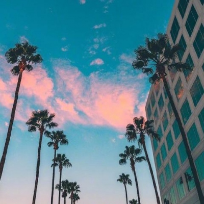 拿不动刀的叉子